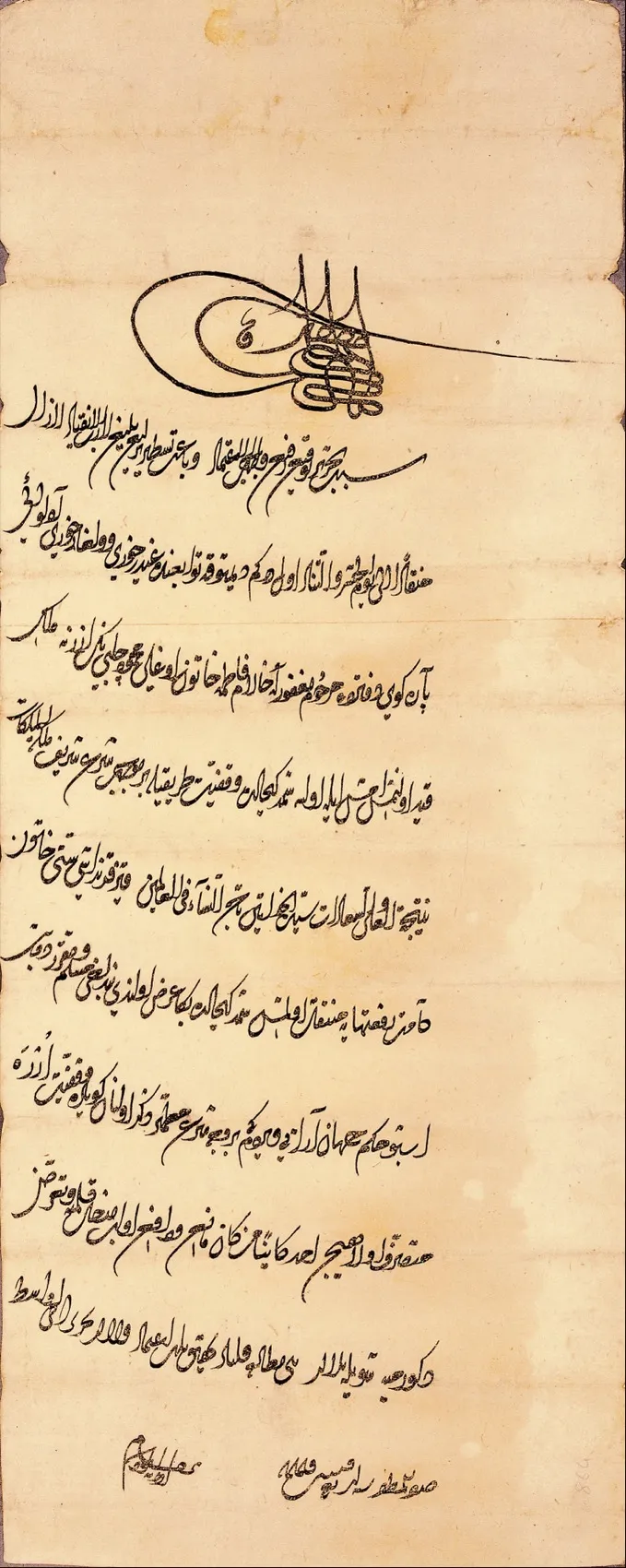 A tall Ottoman imperial decree written in Diwani script, its lines rising diagonally in dense packed clusters with gold illumination at the head.